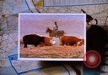 Immagine di Rodeos United States USA, 1986, secondo 12 filmato di repertorio 65675039832