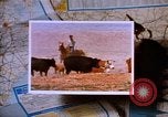 Immagine di Rodeos United States USA, 1986, secondo 13 filmato di repertorio 65675039832