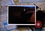 Immagine di Rodeos United States USA, 1986, secondo 29 filmato di repertorio 65675039832