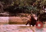 Immagine di Rodeos United States USA, 1986, secondo 34 filmato di repertorio 65675039832