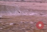 Immagine di Rodeos United States USA, 1986, secondo 40 filmato di repertorio 65675039832