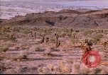 Immagine di Rodeos United States USA, 1986, secondo 42 filmato di repertorio 65675039832