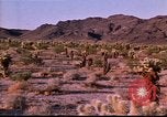 Immagine di Rodeos United States USA, 1986, secondo 43 filmato di repertorio 65675039832