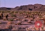Immagine di Rodeos United States USA, 1986, secondo 44 filmato di repertorio 65675039832