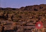 Immagine di Rodeos United States USA, 1986, secondo 45 filmato di repertorio 65675039832