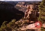 Immagine di Rodeos United States USA, 1986, secondo 49 filmato di repertorio 65675039832