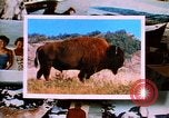 Image of Yellowstone National Park United States USA, 1986, second 12 stock footage video 65675039834