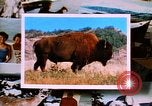 Image of Yellowstone National Park United States USA, 1986, second 13 stock footage video 65675039834