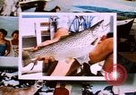 Image of Yellowstone National Park United States USA, 1986, second 20 stock footage video 65675039834
