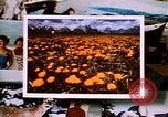 Image of Yellowstone National Park United States USA, 1986, second 27 stock footage video 65675039834