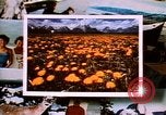 Image of Yellowstone National Park United States USA, 1986, second 28 stock footage video 65675039834