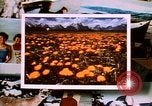 Image of Yellowstone National Park United States USA, 1986, second 29 stock footage video 65675039834