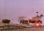 Image of Yellowstone National Park United States USA, 1986, second 35 stock footage video 65675039834