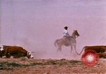 Image of Yellowstone National Park United States USA, 1986, second 36 stock footage video 65675039834