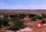 Image of Yellowstone National Park United States USA, 1986, second 39 stock footage video 65675039834