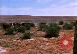 Image of Yellowstone National Park United States USA, 1986, second 40 stock footage video 65675039834