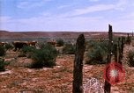Image of Yellowstone National Park United States USA, 1986, second 41 stock footage video 65675039834
