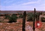 Image of Yellowstone National Park United States USA, 1986, second 42 stock footage video 65675039834