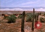 Image of Yellowstone National Park United States USA, 1986, second 43 stock footage video 65675039834