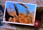 Image of Landmarks of the midwest United States United States USA, 1986, second 11 stock footage video 65675039836