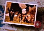 Image of Landmarks of the midwest United States United States USA, 1986, second 14 stock footage video 65675039836