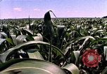 Image of Landmarks of the midwest United States United States USA, 1986, second 35 stock footage video 65675039836
