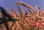 Image of Landmarks of the midwest United States United States USA, 1986, second 44 stock footage video 65675039836