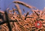 Image of Landmarks of the midwest United States United States USA, 1986, second 45 stock footage video 65675039836