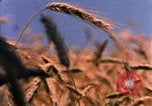 Image of Landmarks of the midwest United States United States USA, 1986, second 46 stock footage video 65675039836