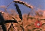 Image of Landmarks of the midwest United States United States USA, 1986, second 47 stock footage video 65675039836