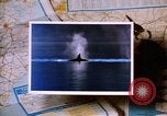 Image of 1980s landmarks of pacific northwest United States United States USA, 1986, second 30 stock footage video 65675039837