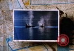 Image of 1980s landmarks of pacific northwest United States United States USA, 1986, second 33 stock footage video 65675039837