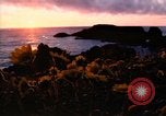 Image of 1980s landmarks of pacific northwest United States United States USA, 1986, second 43 stock footage video 65675039837