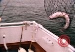 Image of 1980s landmarks of pacific northwest United States United States USA, 1986, second 62 stock footage video 65675039837