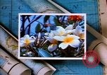 Image of Hawaii tourist scenes in 1980s United States USA, 1986, second 14 stock footage video 65675039838