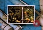 Image of Hawaii tourist scenes in 1980s United States USA, 1986, second 28 stock footage video 65675039838