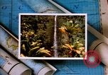 Image of Hawaii tourist scenes in 1980s United States USA, 1986, second 30 stock footage video 65675039838