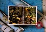 Image of Hawaii tourist scenes in 1980s United States USA, 1986, second 31 stock footage video 65675039838