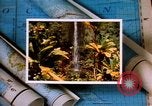 Image of Hawaii tourist scenes in 1980s United States USA, 1986, second 32 stock footage video 65675039838