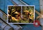 Image of Hawaii tourist scenes in 1980s United States USA, 1986, second 33 stock footage video 65675039838