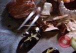 Image of Hawaii tourist scenes in 1980s United States USA, 1986, second 60 stock footage video 65675039838