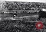 Image cowboys United States USA, 1927, de la seconde 19 séquences d'archives historiques vidéo 65675039840