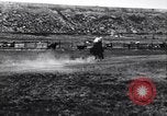 Image cowboys United States USA, 1927, de la seconde 21 séquences d'archives historiques vidéo 65675039840
