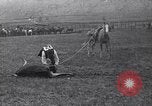 Image cowboys United States USA, 1927, de la seconde 53 séquences d'archives historiques vidéo 65675039840