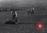 Image cowboys United States USA, 1927, de la seconde 54 séquences d'archives historiques vidéo 65675039840
