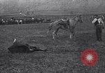 Image cowboys United States USA, 1927, de la seconde 58 séquences d'archives historiques vidéo 65675039840