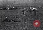 Image cowboys United States USA, 1927, de la seconde 60 séquences d'archives historiques vidéo 65675039840