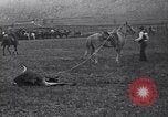 Image cowboys United States USA, 1927, de la seconde 61 séquences d'archives historiques vidéo 65675039840