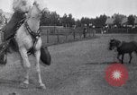 Image Lucille Mulhall United States USA, 1927, de la seconde 18 séquences d'archives historiques vidéo 65675039841