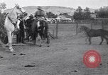 Image Lucille Mulhall United States USA, 1927, de la seconde 26 séquences d'archives historiques vidéo 65675039841